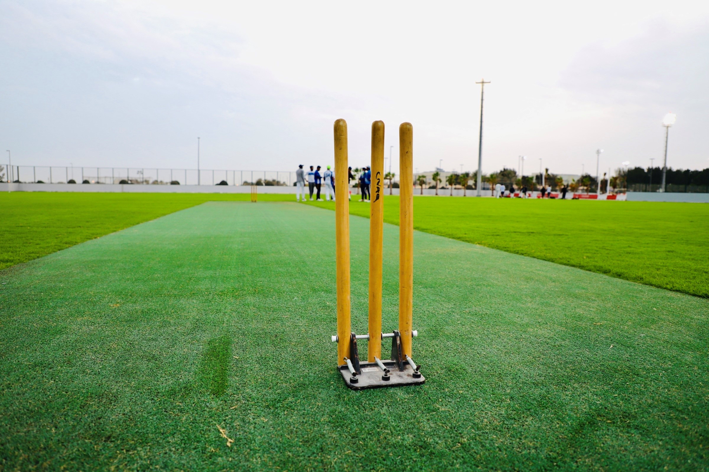 natural_grass_cricket_4_.jpg